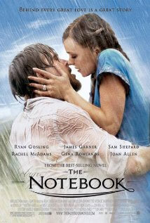 Notebook, The